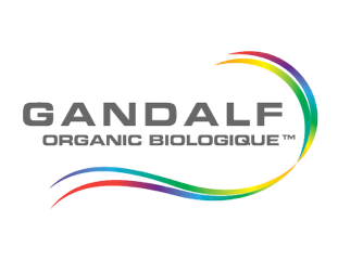 Gandalf Organic Logo Colour
