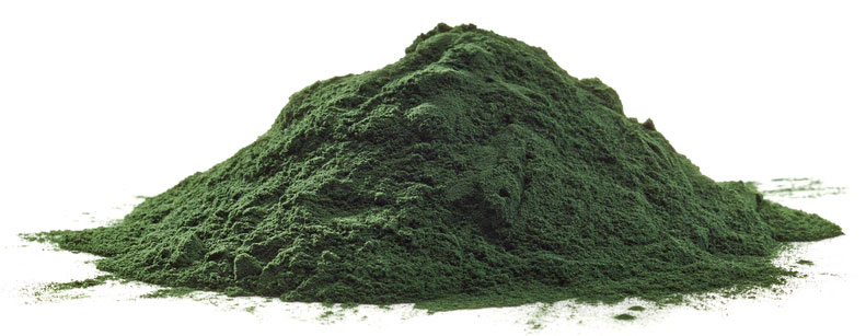 Stack of spirulina algae powder isolated on white background