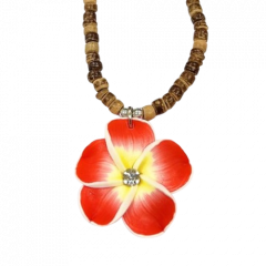 collier_fleurs-removebg-preview